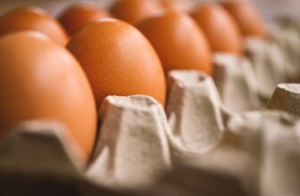 découvrez connected egg, l'innovation qui révolutionne votre quotidien en alliant technologie et facilité d'utilisation. suivez vos aliments avec précision et améliorez votre expérience culinaire grâce à des fonctionnalités intelligentes et connectées. ne manquez pas cette expérience unique pour optimiser votre cuisine !