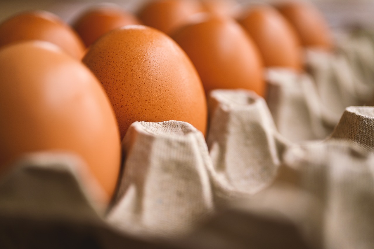 découvrez connected egg, l'innovation qui révolutionne votre quotidien en alliant technologie et facilité d'utilisation. suivez vos aliments avec précision et améliorez votre expérience culinaire grâce à des fonctionnalités intelligentes et connectées. ne manquez pas cette expérience unique pour optimiser votre cuisine !